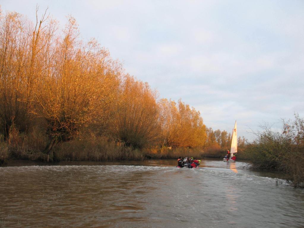 Bed And Breakfast De Biesbosch - In 'T Riet Drimmelen Εξωτερικό φωτογραφία