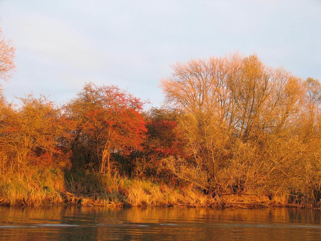 Bed And Breakfast De Biesbosch - In 'T Riet Drimmelen Εξωτερικό φωτογραφία